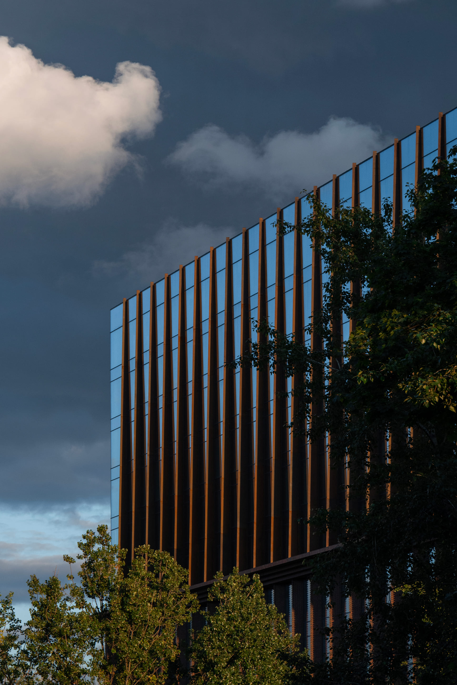 Архитектура