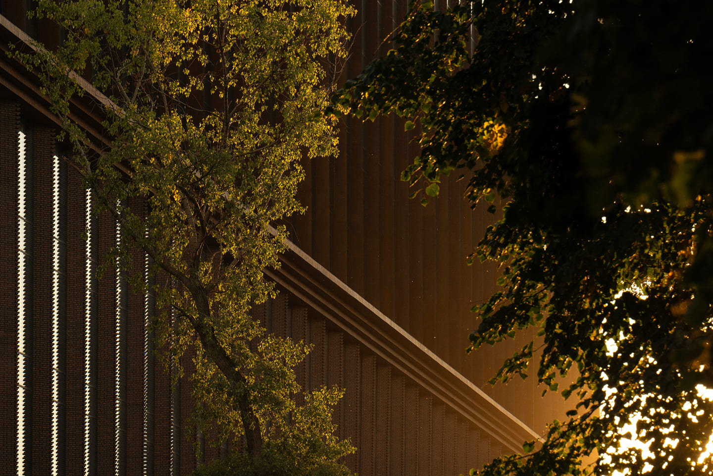 Благоустройство